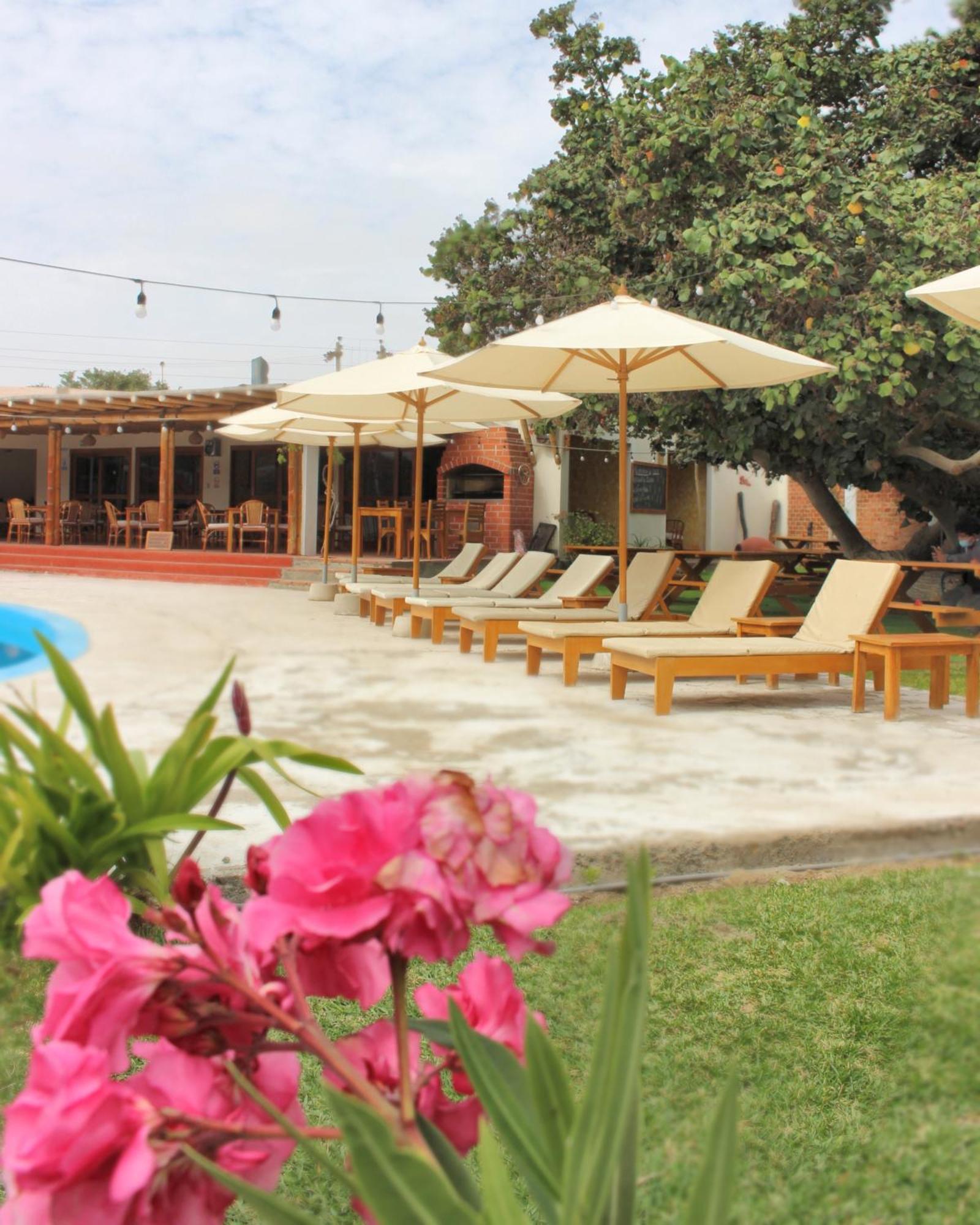 Hotel El Condor Paracas Extérieur photo